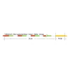 Loomis & Franklin XP Sense Fly Line Euro Nymph #0-5 23,4+1m Camou Fly Main Line