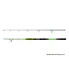 Delphin Hyperio 2 2,40m 120gr 2-piece Catfish Rod
