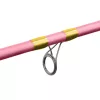 Delphin Queen Feeder Rod + 3pcs Tip / 330cm/100gr/3 Piece