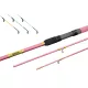 Delphin Queen Feeder rod + 3pcs tip / 360cm/100gr/3 piece