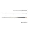 Delphin RIVER Trophy NXT + 4 tips 300cm/160g/3 parts