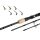 Delphin NIRVANA FDR + 3 tips 13ft/80g