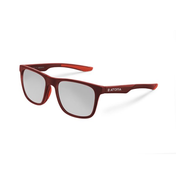 Delphin SG ATOMA polarized glasses