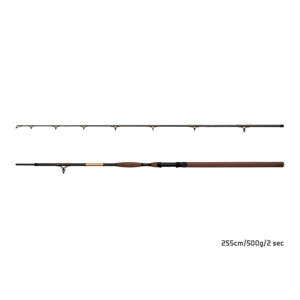 Delphin SymbolCAT Bronze Catfish rod 255cm 500gr