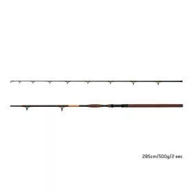 Delphin SymbolCAT Bronze Catfish rod 285cm 500gr