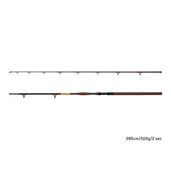 Delphin SymbolCAT Bronze 285cm/500g/2 parts