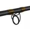 Delphin SymbolCAT Bronze Catfish rod 310cm 500gr