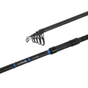 Delphin CAPRI Tele NXT 360cm/120g telescopic rod