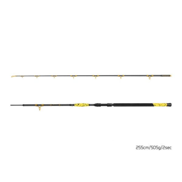 Delphin HAZARD BxG 255cm, 505g, 2-Piece Catfish Rod