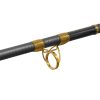 Delphin HAZARD BxG 255cm, 505g, 2-Piece Catfish Rod