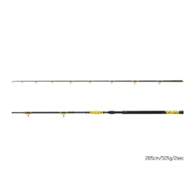 Delphin HAZARD BxG 285cm, 505g, 2-Piece Catfish Rod