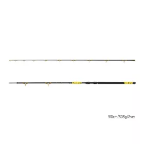 Delphin HAZARD BxG 310cm, 505g, 2-Piece Catfish Rod