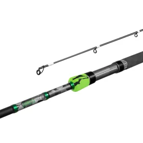 Delphin GreenCODE 255cm/40g/2 section spinning rod