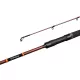 Delphin EXPLOZA HARD 210cm/60g/2 section spinning rod