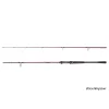Delphin EXPLOZA HARD 210cm/60g/2 section spinning rod