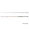 Delphin EXPLOZA HARD 300cm/70g/2 sections spinning rod