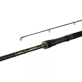 Delphin MURENA 210cm/100g/2 section spinning rod