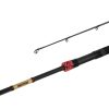 Delphin MURENA POWER 240cm/125g/2 section spinning rod