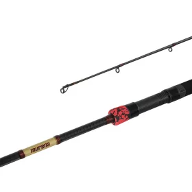 Delphin MURENA POWER 270cm/125g/2 section spinning rod