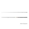 Delphin MURENA POWER 300cm/125g/2 section spinning rod