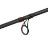 Delphin MURENA POWER 300cm/125g/2 section spinning rod