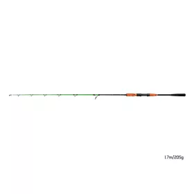 Delphin ARMAGEDON 170cm, 205g Boat Catfish Rod