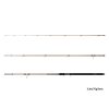 Delphin LEGIA CarpMATCH 330cm/75g/3 parts
