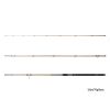 Delphin LEGIA CarpMATCH 360cm/75g/3 parts