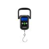 Digital scales Delphin XILO 50 up to 50kg