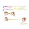 Delphin Zandera FlexiFloat UVs - Bloody Milion 12cm Plastic Bait 5pcs