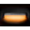 Delphin LightBAR UC bivouac light with control 5700K 2000mAH
