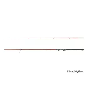 Delphin Amulet Spin 2,10m 30gr 2-piece Spinning Rod