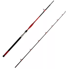 Delphin Danger CatFish 2-piece Catfish Rod 2.55m 350gr