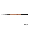 Delphin Inferno Pole 5m Whip Rod