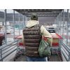 Delphin Simple Bag Carp Backpack