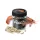 Delphin MaggoX Shrimp Pop Up Maggot Imitation 15gr