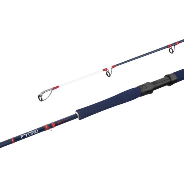 Delphin Fyord BigBoat 2.20m 300-400gr 2 Piece Catfish Rod