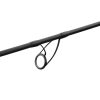 Delphin CorsaBlack Nero 2,70m 2lb 2 piece Bojlis Bot