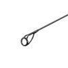 Delphin Symbol Carper 3,00m 3lb 2 Piece Boilie Rod
