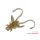 Delphin B! Stinx Nympha Muddy 2,5cm artificial lure 20pcs