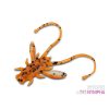 Delphin B! Stinx Nympha Fruity 2,5cm artificial lure 20pcs