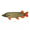 Delphin Piky Plush Pike 60cm
