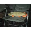 Delphin Piky Plush Pike 60cm