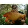 Delphin Carpy Plush Carp 60cm