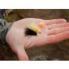 Delphin Fly Pond Trout Artificial Fly Set 10pcs