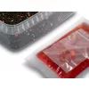 Delphin Reaxe Ready&Go Salmon-Crayfish Pellet Box 400gr + 120ml Booster and 10mm Wafters