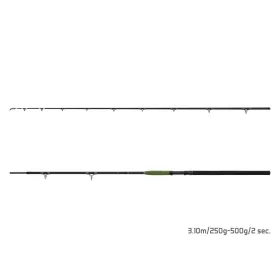 Delphin Energy Catfish 3.10m 250-500gr 2-piece Catfish Rod