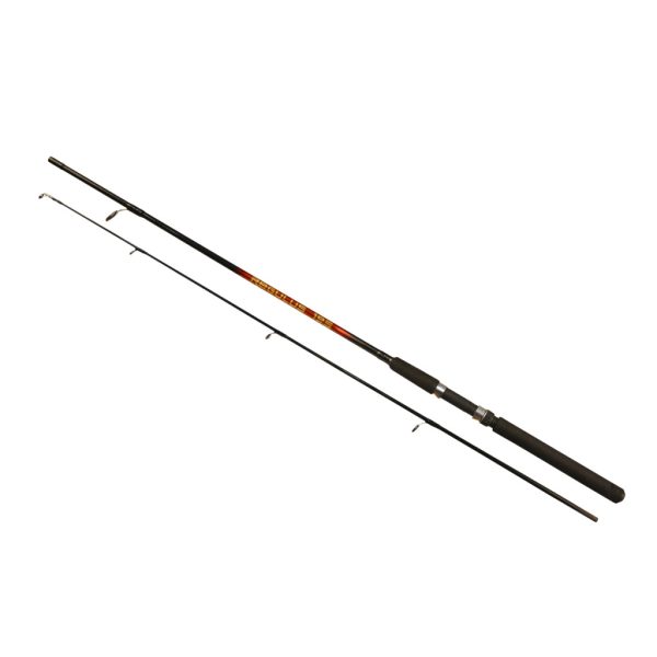 Arno Regulus Rod 1.98m 10-30gr 2-piece Spinning Rod