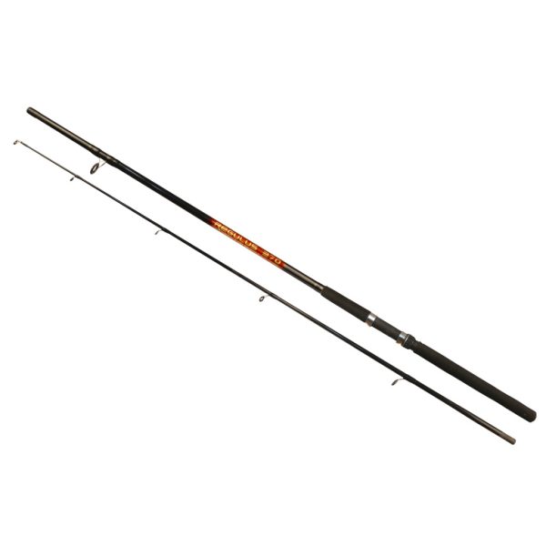 Arno Regulus Rod 2.70m 40-80gr 2-piece Spinning Rod