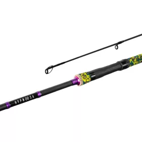 Delphin Hypnoosa Spinning 2,60m 60gr 2-piece Spinning Rod